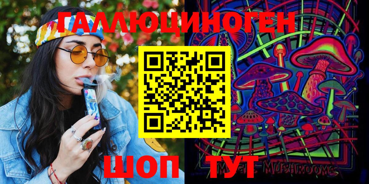 Псилоцибиновые грибы Cubensis Урус-Мартан