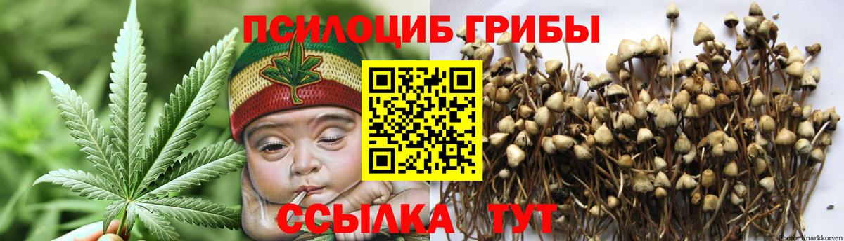 Урус-Мартан  Галлюциногенные грибы мицелий  Псилоцибиновые грибы мицелий  Вход с VPN 