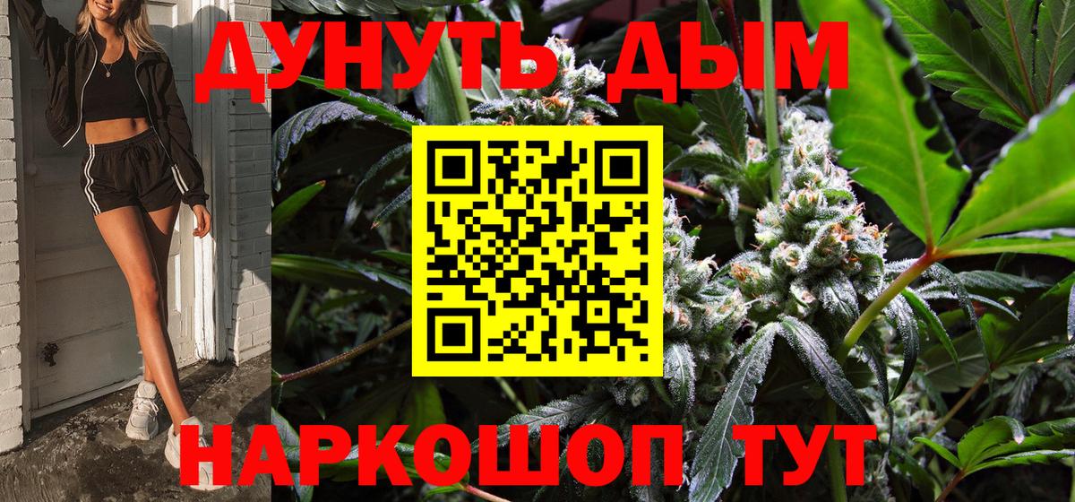 Марихуана гибрид Урус-Мартан